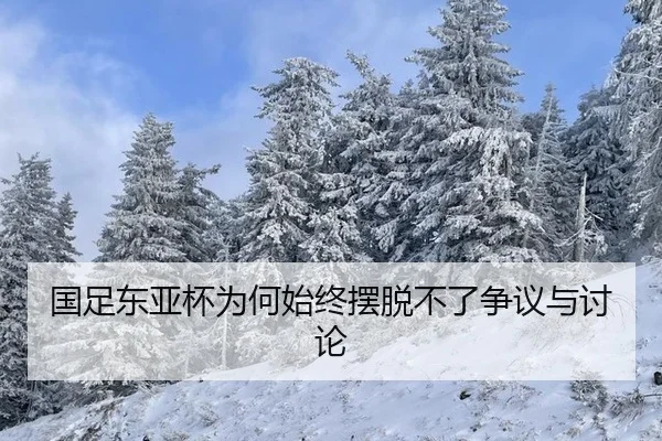 国足东亚杯为何始终摆脱不了争议与讨论 - j9